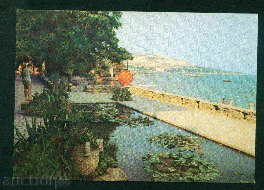 Auction BALCHIK - Photographic Exhibition D-1049-A / 20/1973 Reg. DOBRICH / M440 Auction BALCHIK - Photographic Exhibition D-1049-A / 20/1973 Reg. DOBRICH / M440