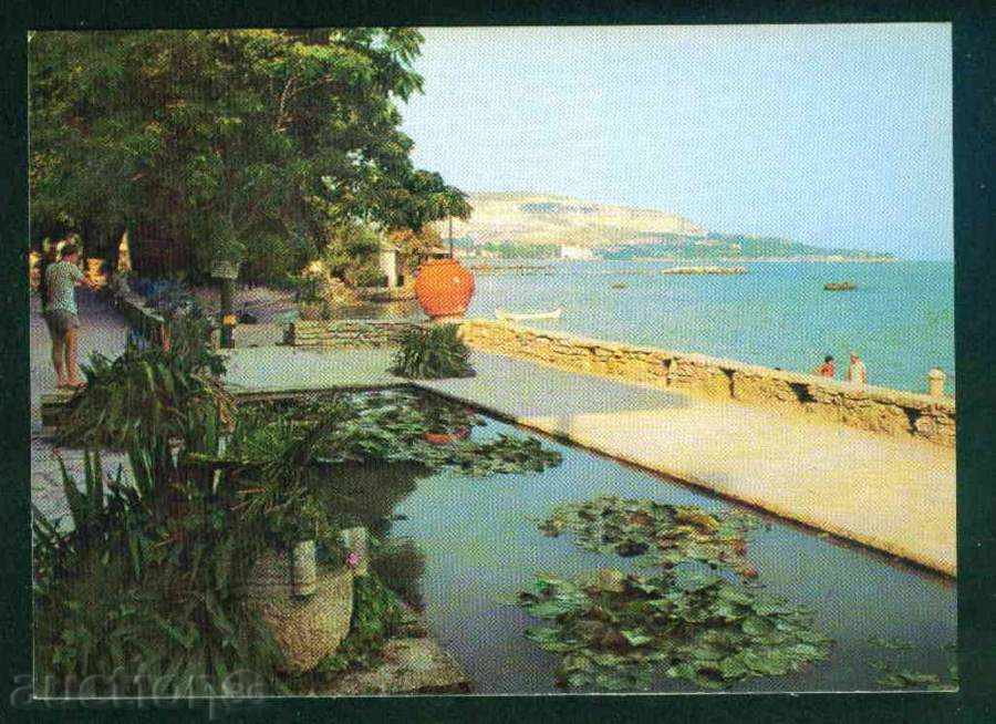 Auction  BALCHIK - Septemvri D-1049-A // 319 / 1979г. DOBRICH / M516