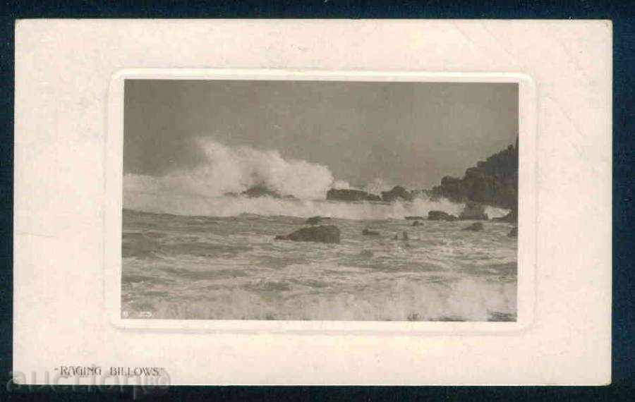 Delivery of SHUMEN - print Shop \ "ELEONORA \" - GM Ivanov / M5290 Delivery of SHUMEN - print Shop \ "ELEONORA \" - GM Ivanov / M5290