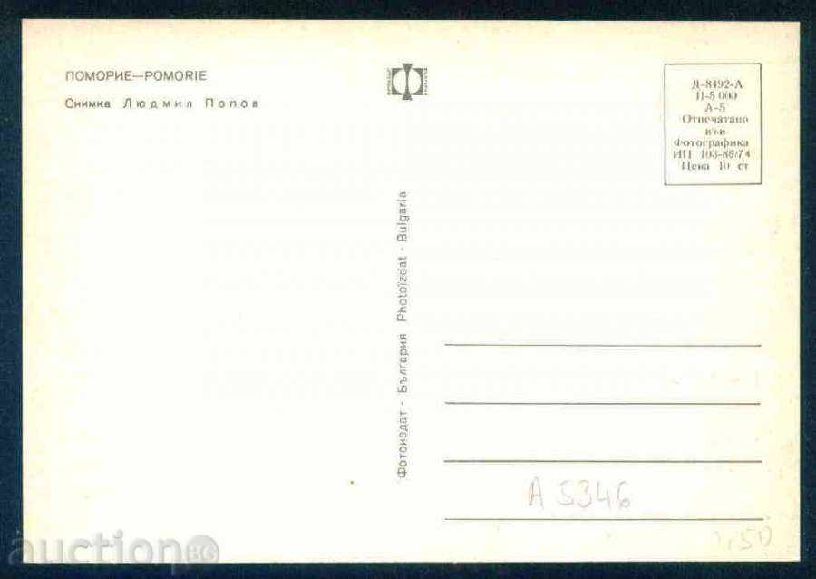 POMORIE - Photographic Exhibition Д-8492-А 103 / 1974г. Bourgas / A 5346 with price 1.60 BGN | € 0.82