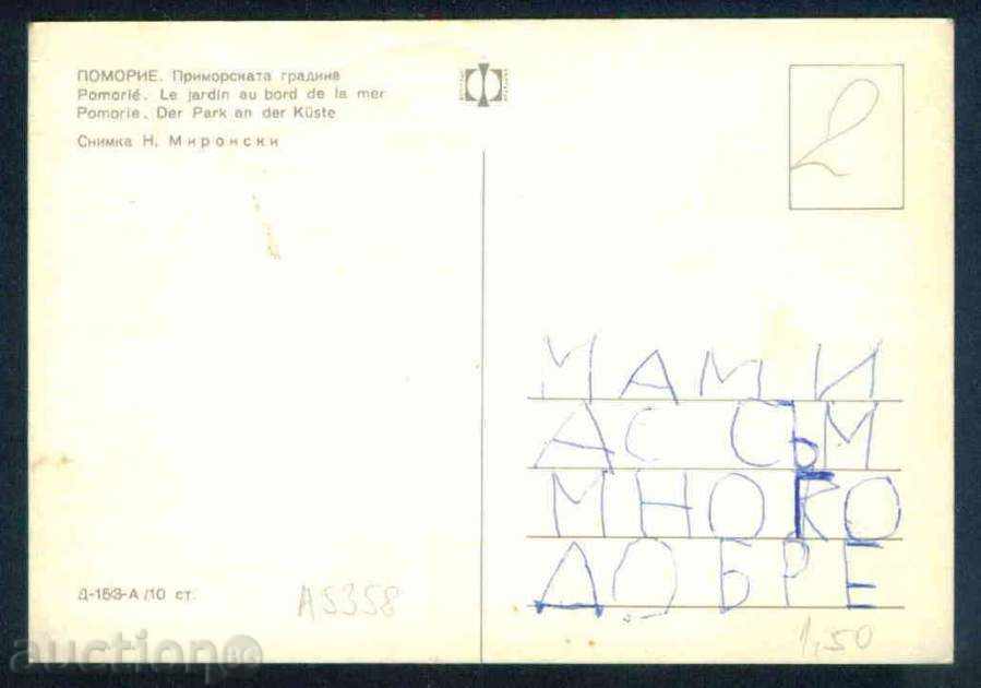 Auction POMORIE - PHOTOGRAPHY D-153-A Reg. Bourgas / A 5358 Auction POMORIE - PHOTOGRAPHY D-153-A Reg. Bourgas / A 5358