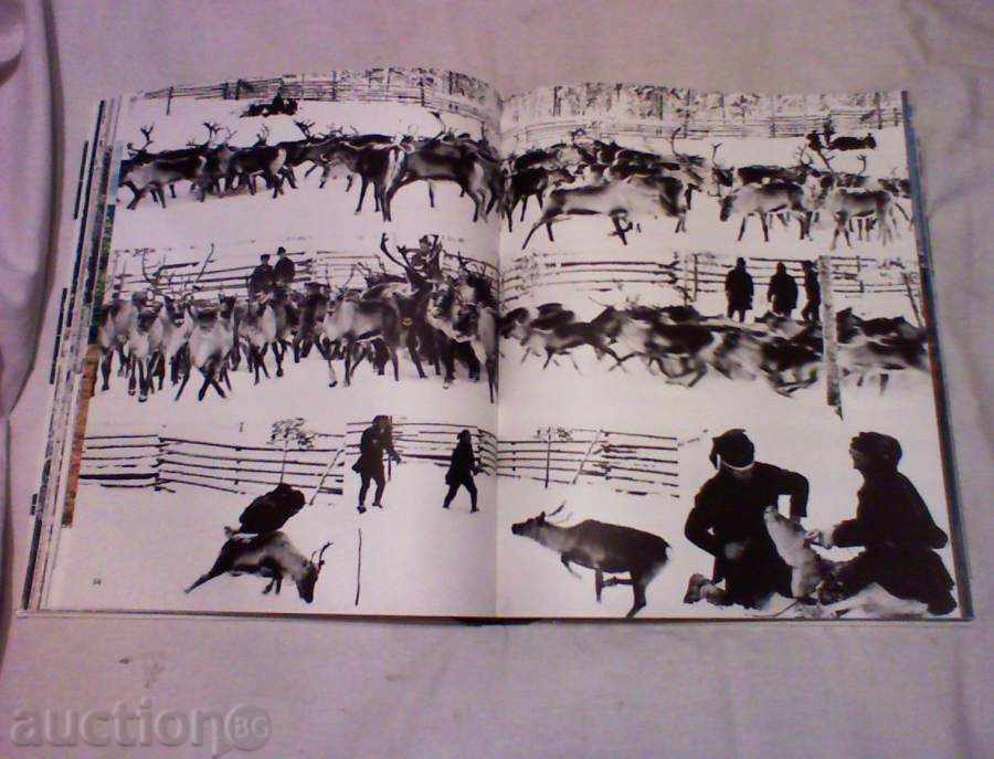 FINLANDIA με τιμή € 7.16 | 14.00 BGN