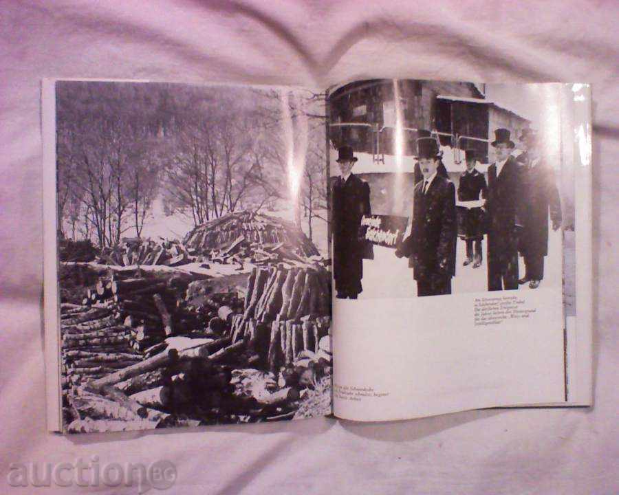 Netphen with price € 6.60 | 12.91 BGN