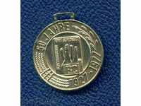 MEDAL - 50 YEARS OF THE RAILWAYS OF THE RAILWAYS OF THE RAILWAYS / M 317