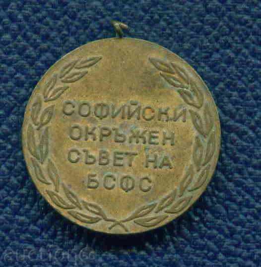 Δημοπρασία ΜΕΤΑΛΛΙΟ - SPORT - πλάκα ΣΟΦΙΑ OCD ΔΙΟΙΚΗΤΙΚΟΥ BSFS / M371 Δημοπρασία ΜΕΤΑΛΛΙΟ - SPORT - πλάκα ΣΟΦΙΑ OCD ΔΙΟΙΚΗΤΙΚΟΥ BSFS / M371