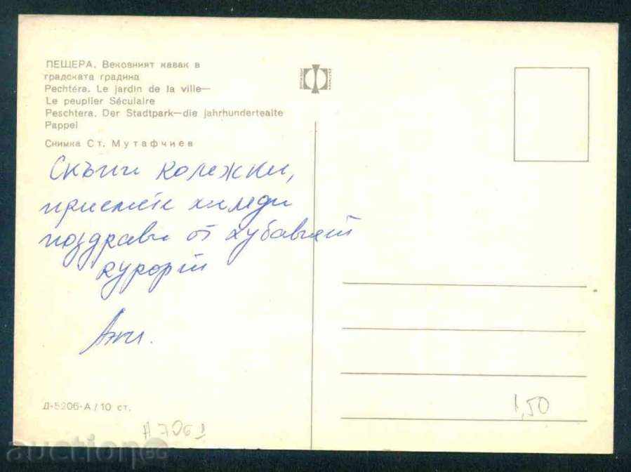 ПЕЩЕРА картичка - ВЕКОВНИЯТ КАВАК В ГРАДСКАТА ГРАДИНА/ А7061 с цена 1.55 лв. | € 0.79 ПЕЩЕРА картичка - ВЕКОВНИЯТ КАВАК В ГРАДСКАТА ГРАДИНА/ А7061 с цена 1.55 лв. | € 0.79