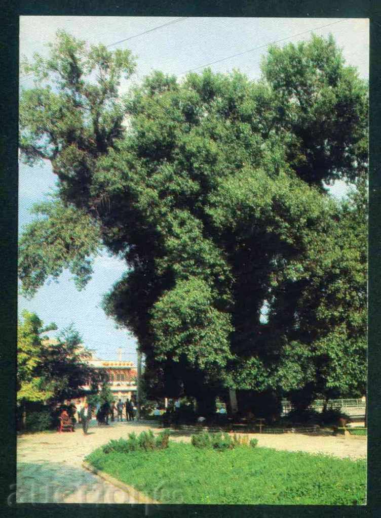 κάρτα CAVE - αιώνες Καβακλή στο Park City / A7061
