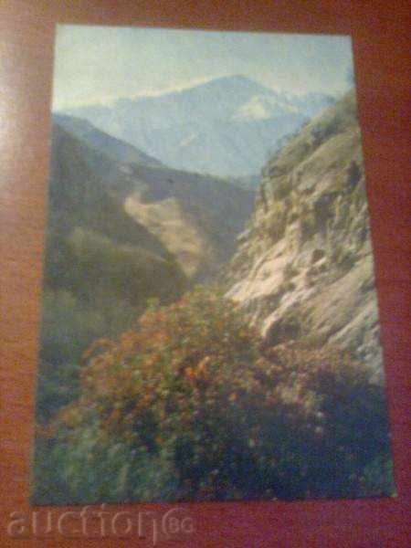 Card - Tajikistan
