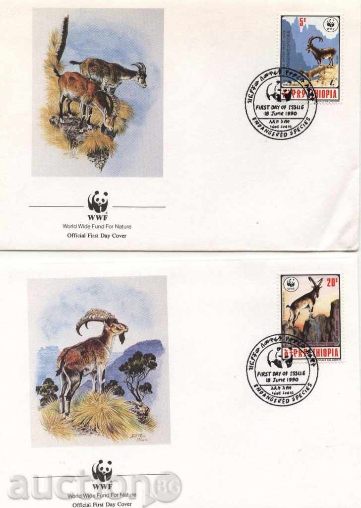 Enfolds of WWF Kozli 1990 from Ethiopia with price 14.00 BGN | € 7.16 Enfolds of WWF Kozli 1990 from Ethiopia with price 14.00 BGN | € 7.16