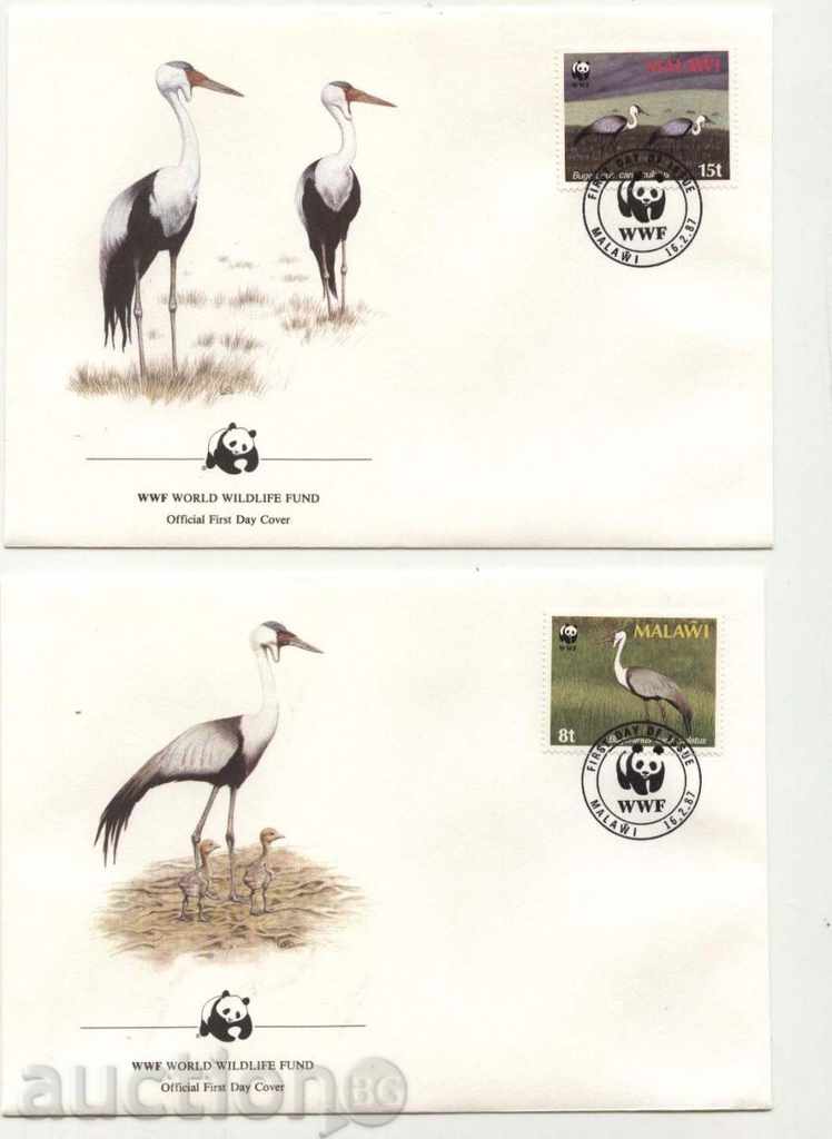 Bird Envelope WWF Birds 1987 from Malawi with price 18.00 BGN | € 9.20 Bird Envelope WWF Birds 1987 from Malawi with price 18.00 BGN | € 9.20