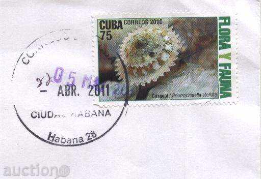 Traveled floral envelope 2010 from Cuba with price 1.00 BGN | € 0.51 Traveled floral envelope 2010 from Cuba with price 1.00 BGN | € 0.51
