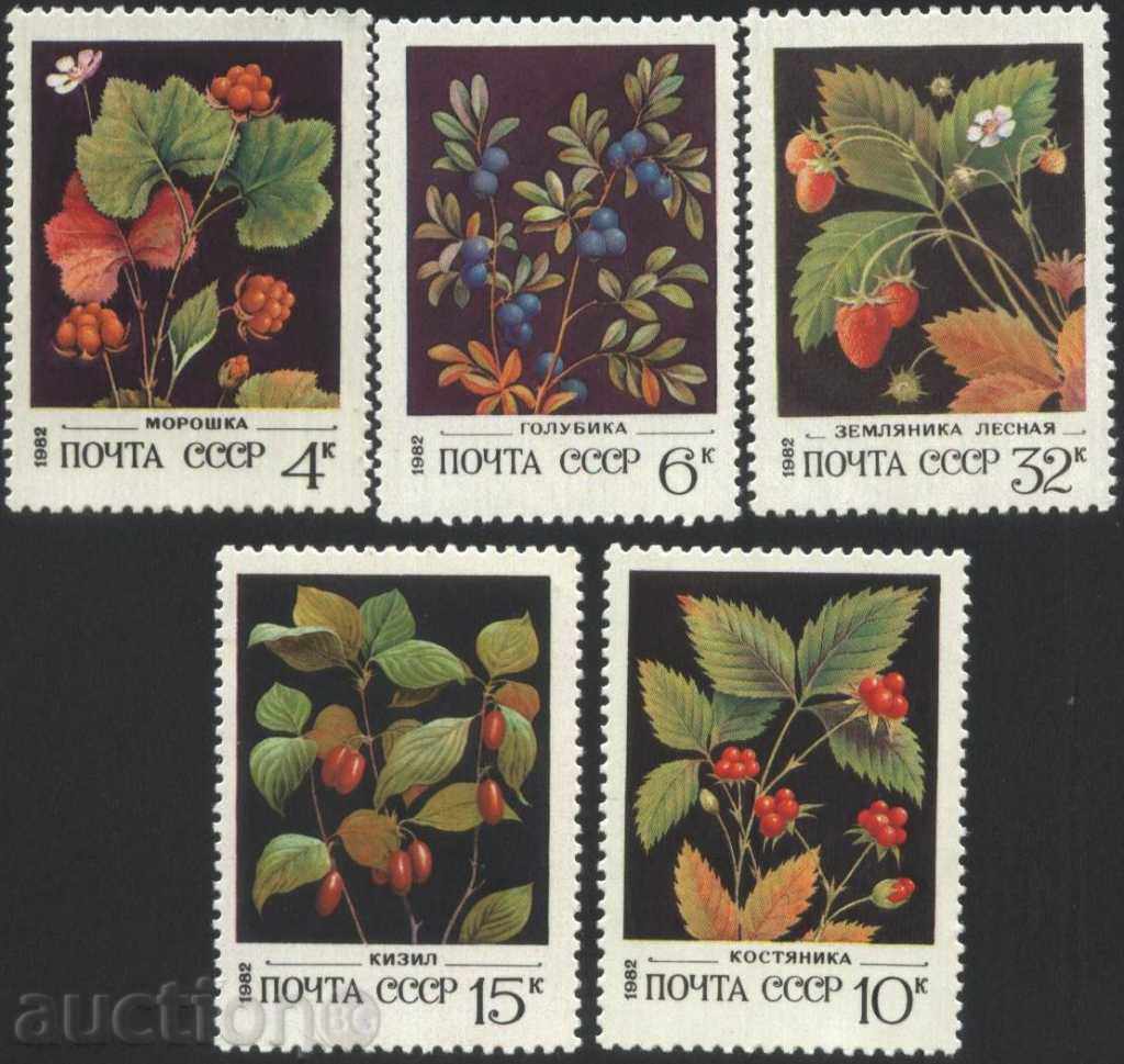 Чисти марки  Горски плодове 1982 от СССР