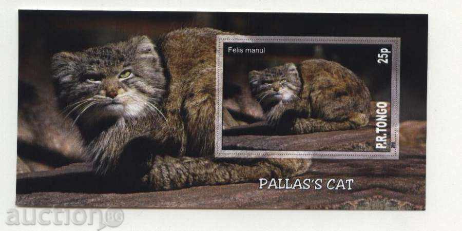 Καθαρίστε Wildcats μπλοκ - Γάτα Παλλάς 2010 Τόνγκα