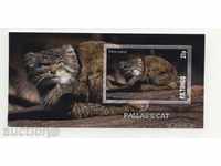 Καθαρίστε Wildcats μπλοκ - Γάτα Παλλάς 2010 Τόνγκα