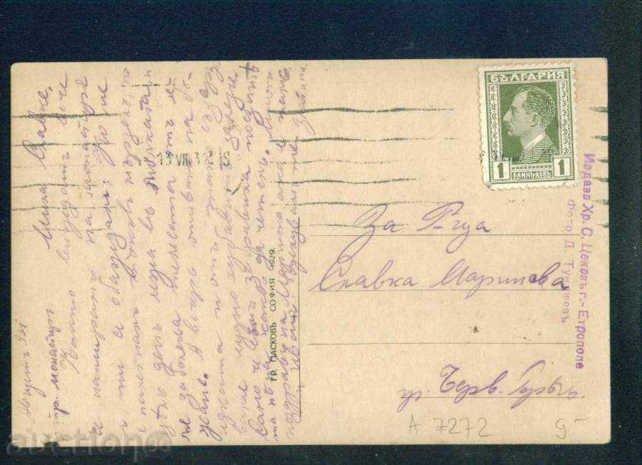 Auction  ETHROPOLE card - SHINDARNIKA BACK / A7272