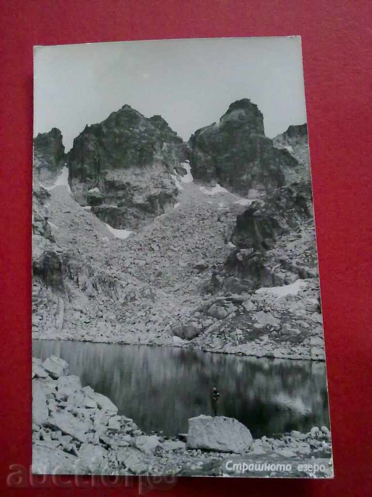Lotus "The Seven Rila Lakes" / Kidney, Stray Lake Rila with price 2.40 BGN | € 1.23 Lotus "The Seven Rila Lakes" / Kidney, Stray Lake Rila with price 2.40 BGN | € 1.23