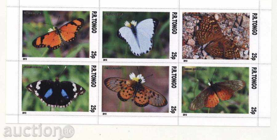 Clean Butterfly Block 2010 from Tongo