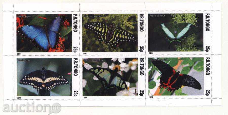 Чист блок Пеперуди  2010 от Тонго