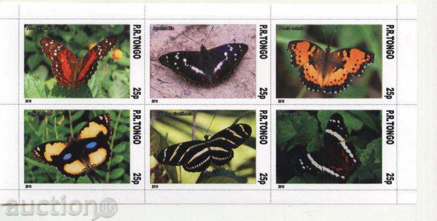 Чист блок Пеперуди  2010 от Тонго