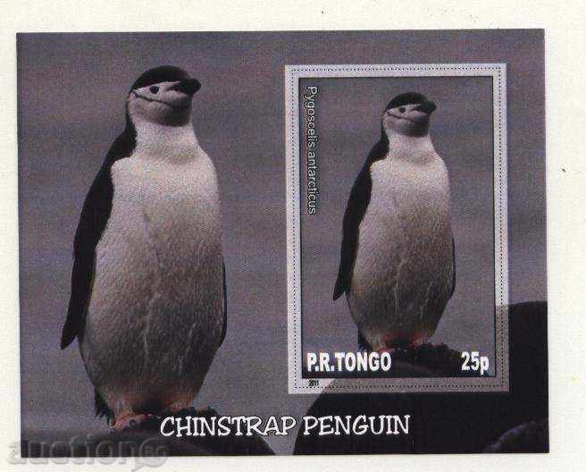 Καθαρίστε μπλοκ Penguin 2011 Τόνγκα