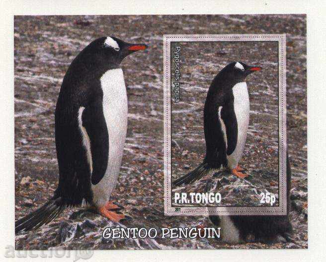 Чист блок Пингвин  2011 от Тонго