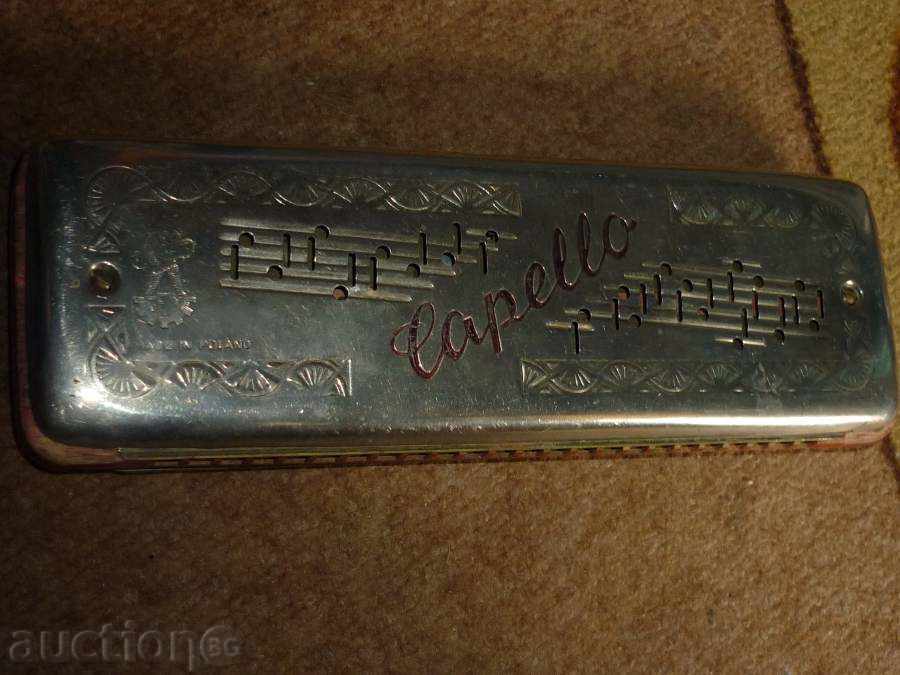 Livrarea muzicuță antic mare