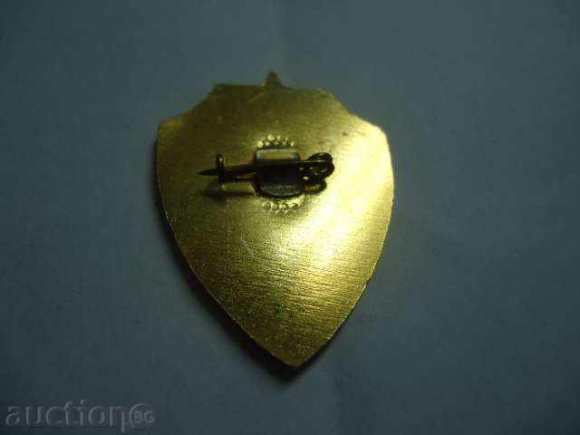 Rare Military Sign 2- For Implementation of the Air Force Experience with price 30.00 BGN | € 15.34