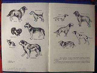 Auction A VERY GOOD FRIEND BOOK FOR WOMEN - I have a dog Auction A VERY GOOD FRIEND BOOK FOR WOMEN - I have a dog