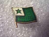 Rare enameled badge - Esperanto
