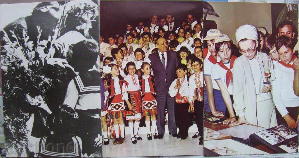 Central Pioneer Palace - Sofia / 16 - 1982 with price 10.00 BGN | € 5.11