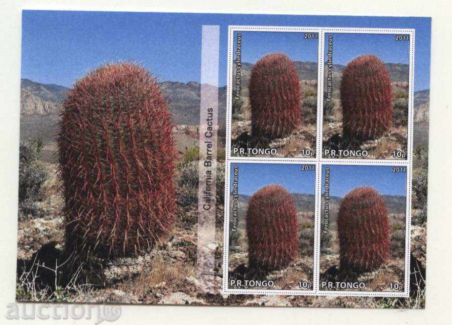 Clean bloc Cactus 2011 Tongo
