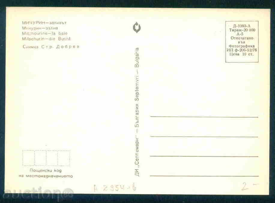 MICHURIN / A 2954 with price 2.10 BGN | € 1.07 MICHURIN / A 2954 with price 2.10 BGN | € 1.07