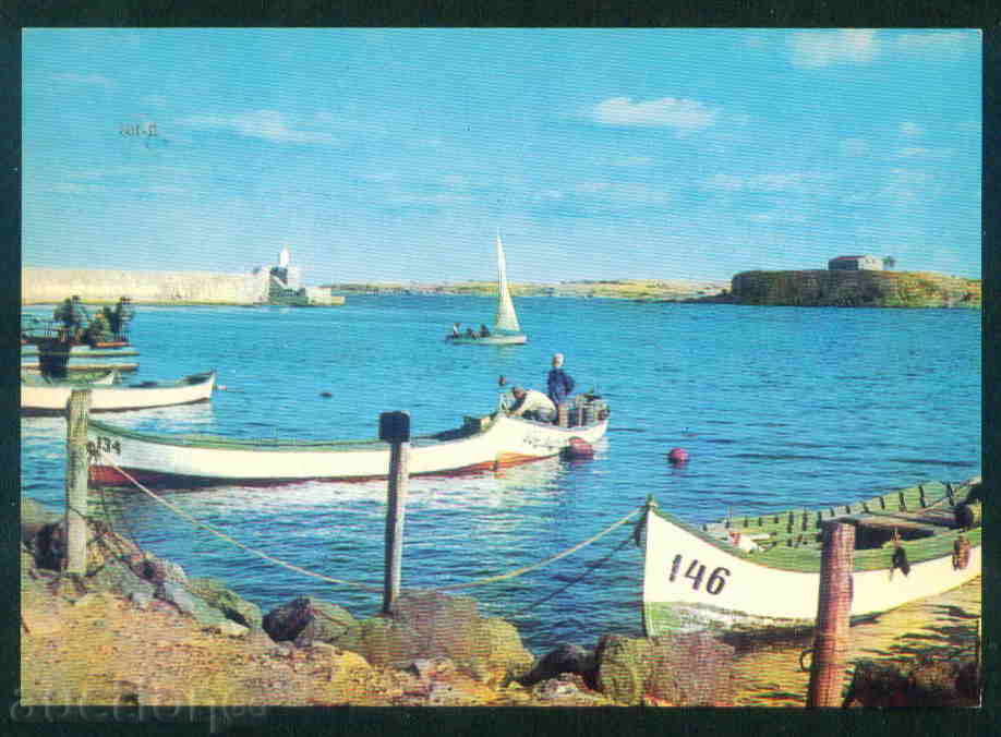 Auction MICHURIN / A 2954 Auction MICHURIN / A 2954