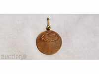 Medal/Saint Mihiel/