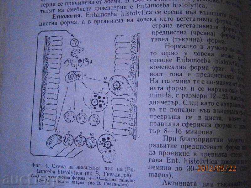 Delivery of Prof.Iv. Tanev Prof. Boris Taskov - Infectious Diseases 1963
