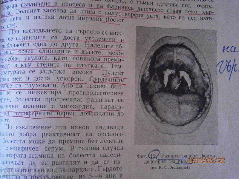 Prof.Iv. Tanev Prof. Boris Taskov - Infectious Diseases 1963 - 5