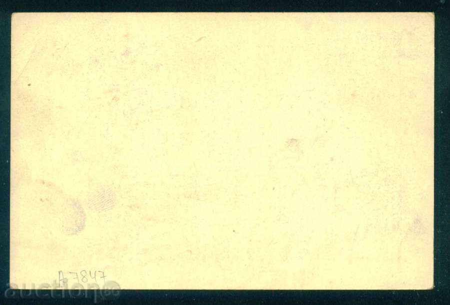 Auction Alexander Dimitrov / Sasho / One of the Five of PMC / A7847 Auction Alexander Dimitrov / Sasho / One of the Five of PMC / A7847