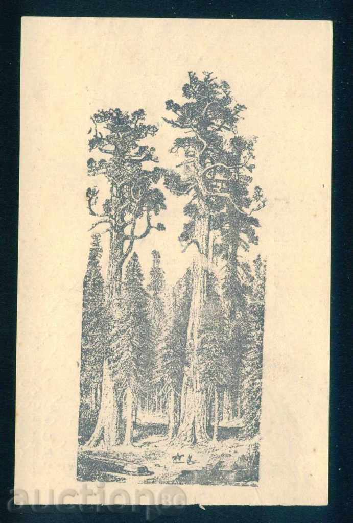 Painter ??? - IN THE FOREST - WELL. Ю. ТУРИСТИЧЕСКА АГЕНЦИЯ А80 with price 5.00 BGN | € 2.56 Painter ??? - IN THE FOREST - WELL. Ю. ТУРИСТИЧЕСКА АГЕНЦИЯ А80 with price 5.00 BGN | € 2.56