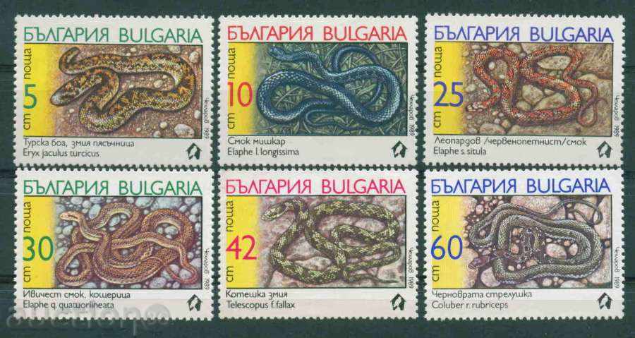 3805 Bulgaria 1989 - Snakes **