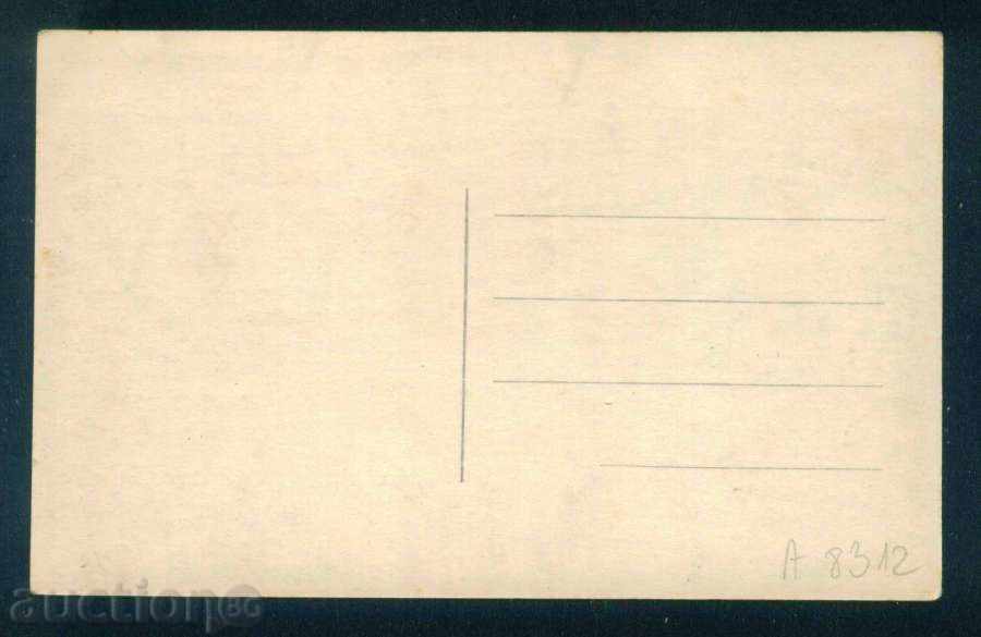 Auction PENCHO Petkov SLAVEYKOV - Bulgarian writer, Tryavna / A8312 Auction PENCHO Petkov SLAVEYKOV - Bulgarian writer, Tryavna / A8312