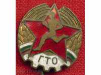 Badge - GTO (ready for work and defense) 20 x 24 / Z88