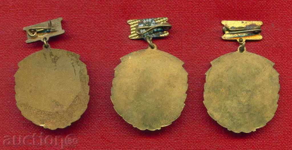 Auction Badge - For labor honors GUSV and GUTP / Z70 Auction Badge - For labor honors GUSV and GUTP / Z70