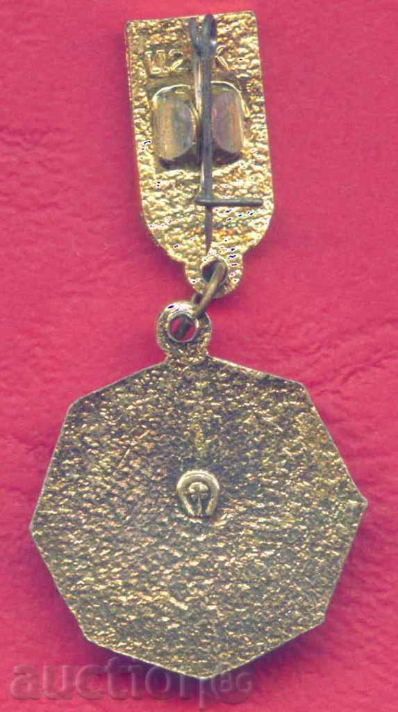 Auction Badge SPORTS - WATER BALL - MOSCOW 1973 USSR / Z204 Auction Badge SPORTS - WATER BALL - MOSCOW 1973 USSR / Z204