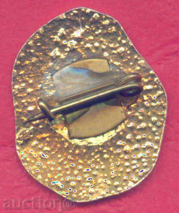 Аукцион Значка - град ПЛЕВЕН / Z382 Аукцион Значка - град ПЛЕВЕН / Z382