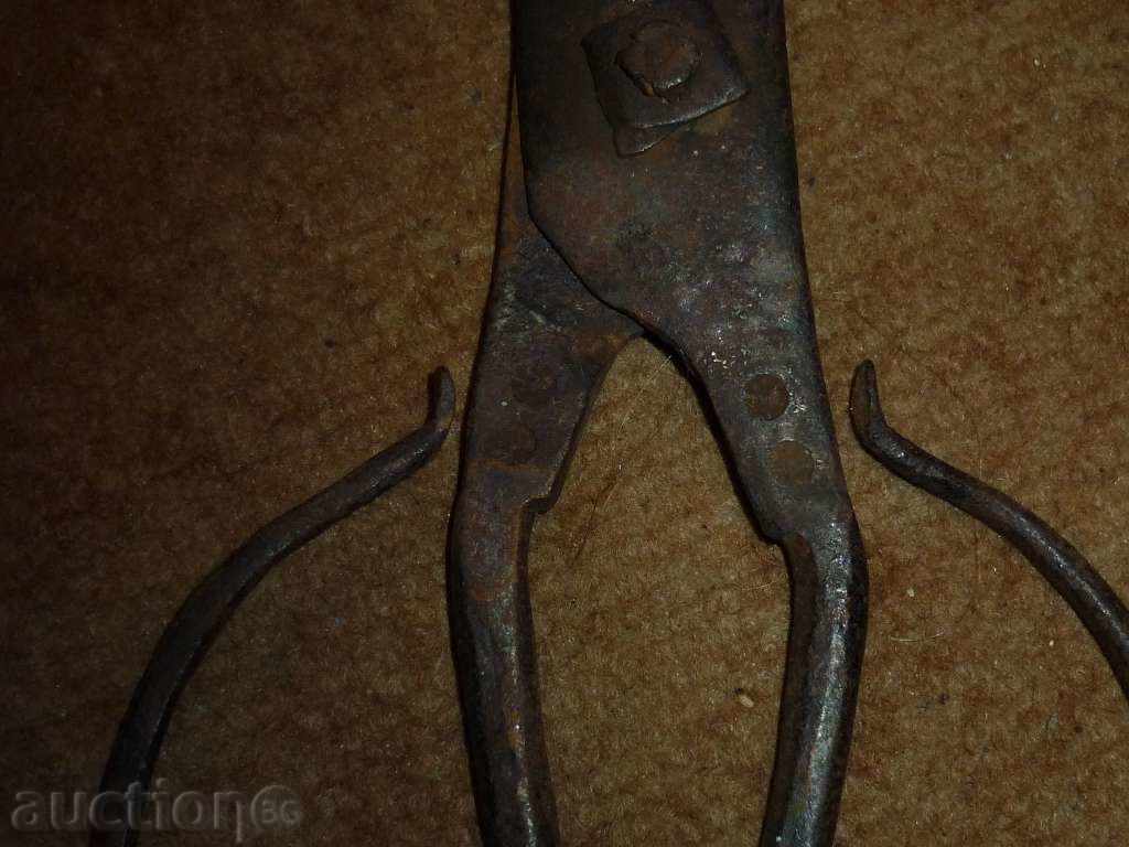 Auction An old forged scissors Auction An old forged scissors