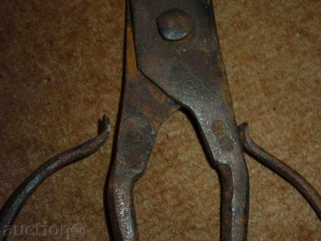 Delivery of An old forged scissors Delivery of An old forged scissors