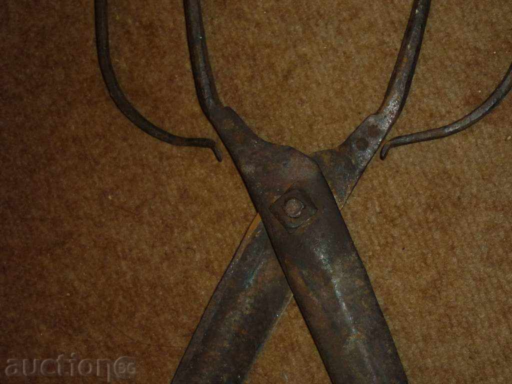 An old forged scissors - 7 An old forged scissors - 7