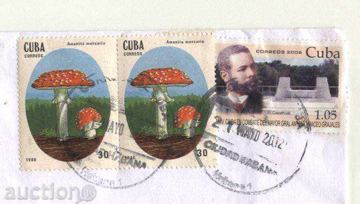 Traffic bag with Mushrooms brands 1988 from Cuba with price 1.00 BGN | € 0.51 Traffic bag with Mushrooms brands 1988 from Cuba with price 1.00 BGN | € 0.51