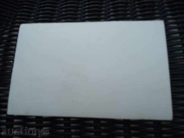 Delivery of Cast of victims of wars at Narechenski Baths Delivery of Cast of victims of wars at Narechenski Baths