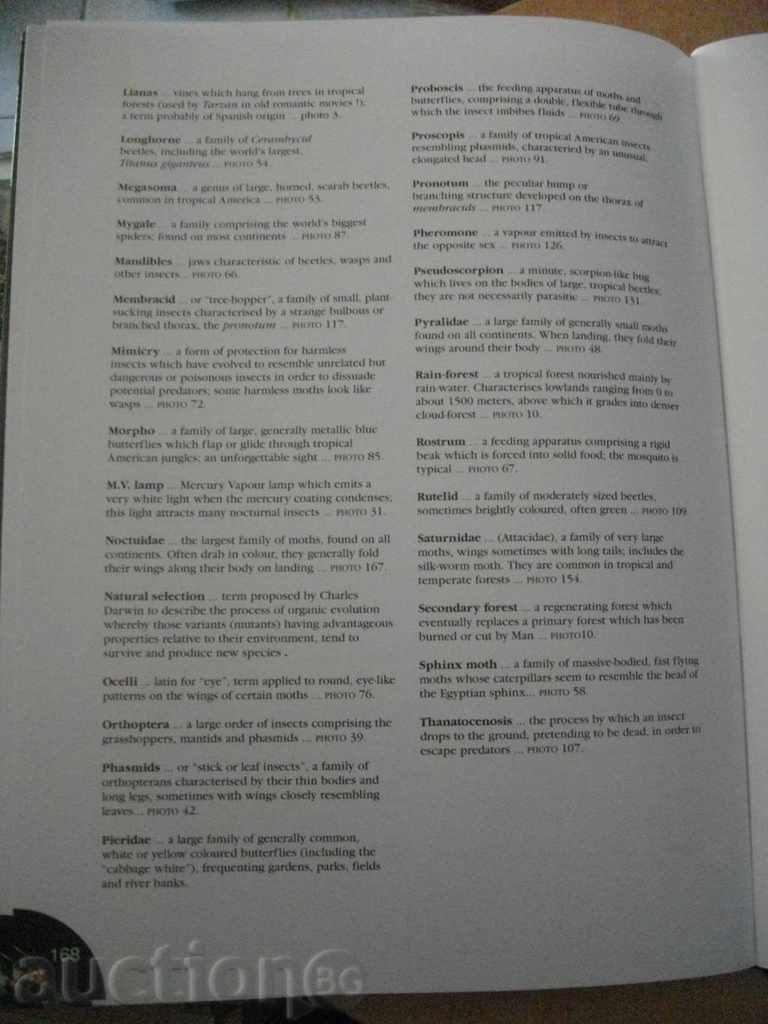 Δημοπρασία Βιβλίο «» Ζούγκλα Σφάλματα στη νύχτα «» - 168 σ. Δημοπρασία Βιβλίο «» Ζούγκλα Σφάλματα στη νύχτα «» - 168 σ.